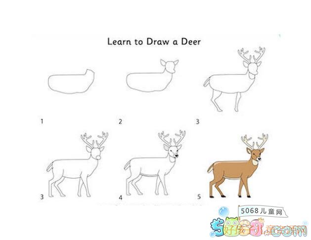 小鹿2简笔画画法(分步),小鹿2简笔画图片