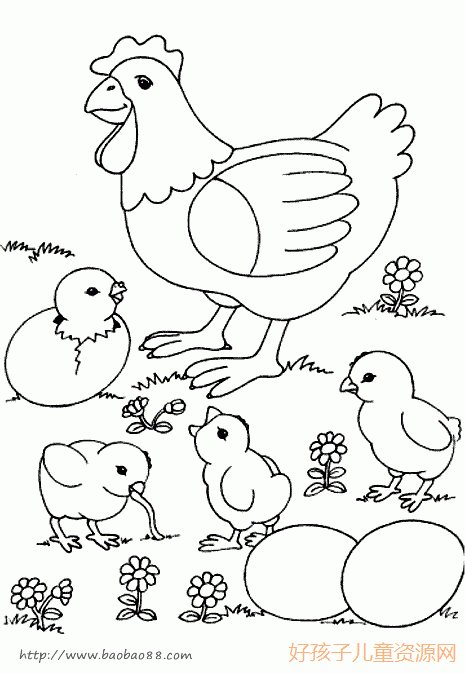小动物儿童简笔画图片-小鸡吃食