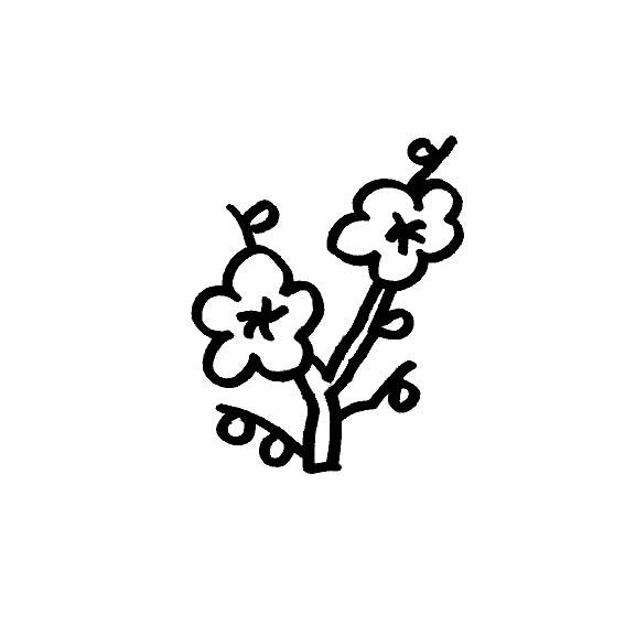 梅花的简单画法花卉类