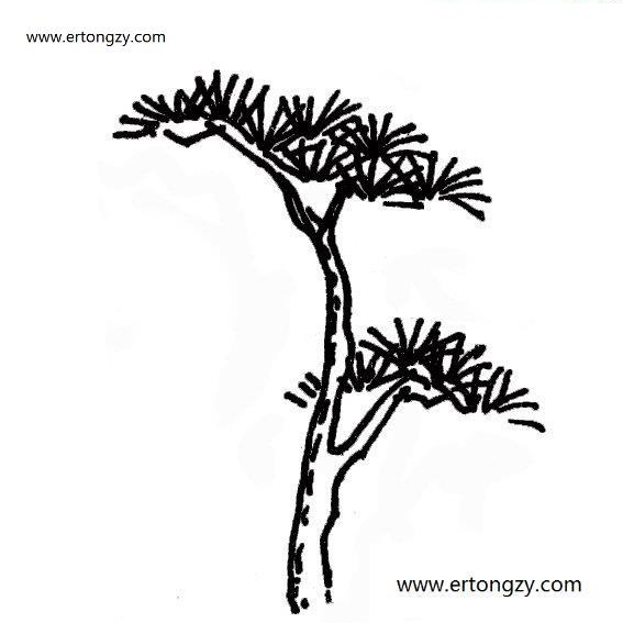 松树简单画法