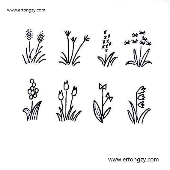 几种植物花卉的简单画法_启蒙画