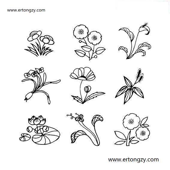 几种常见花卉的简单画法_启蒙画