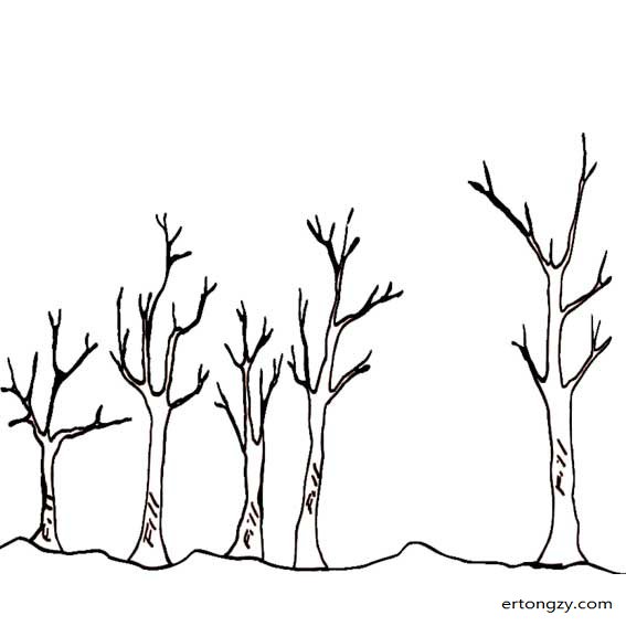 树枝树干简笔画最新,树枝树干画法