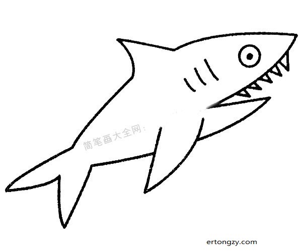 13款鲨鱼简笔画图片大全_动物简笔画_ertongzy.com