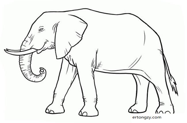 如何画彩色大象的画法
