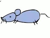 小老鼠简笔画画法视频