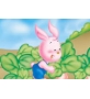 幼儿故事：小白兔和小灰兔