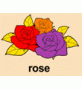 玫瑰(rose)填色