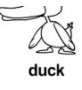 duck ɫ