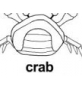 crab ɫ