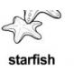 starfish ɫ