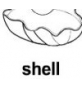 shell ɫ
