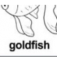 goldfish ɫ
