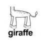 giraffe ɫ
