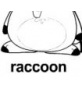 raccoon ɫ