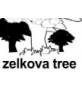 zelkova tree ɫ