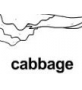 cabbage ɫ