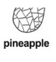 pineapple ɫ