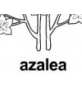 azalea ɫ