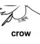crow ɫ