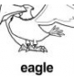 eagle ɫ