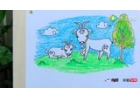 奇娃学画之如何画小山羊视频教程