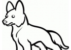 德国牧羊犬简笔画画法（分步）,德国牧羊犬简笔画图片